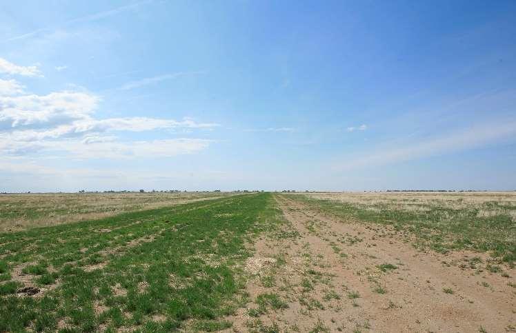 Plain in Otero County with short green grasses and blue partly cloudy sky.