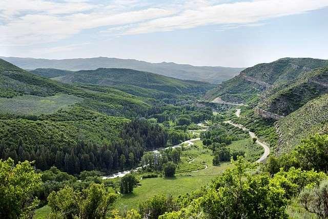 Green valley of grass and trees between moutains in Routt County