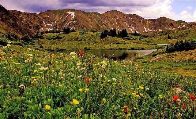 Moutain lake surounded by yellow and red flowers and green grass in Summit County.